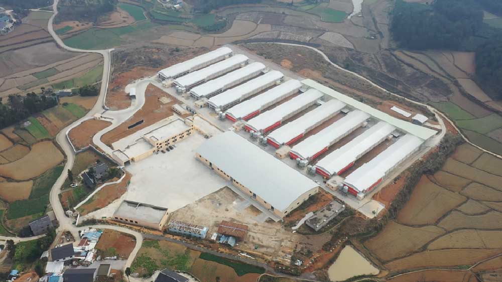 a122df2121afe4f79dec8958a6459753