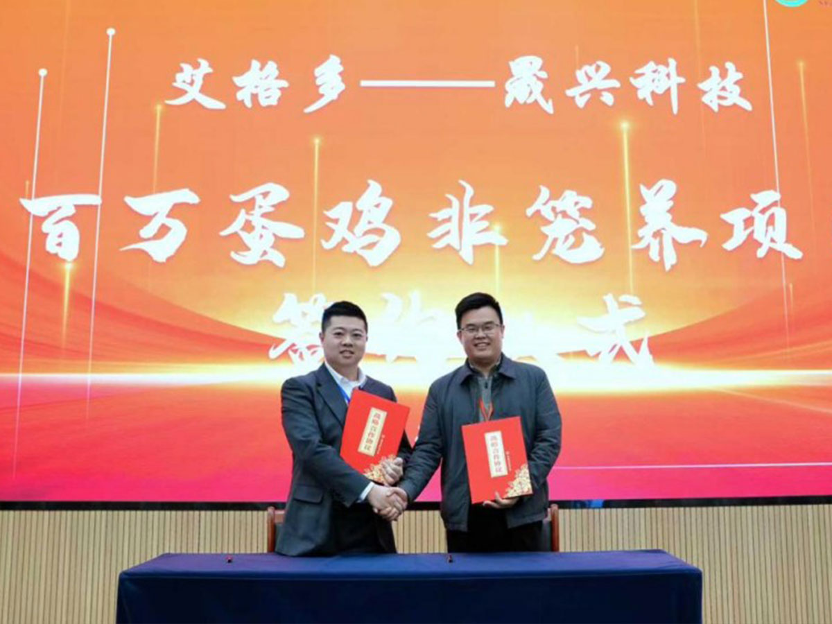 9445a7378c26f0b036d7f850846ef29c