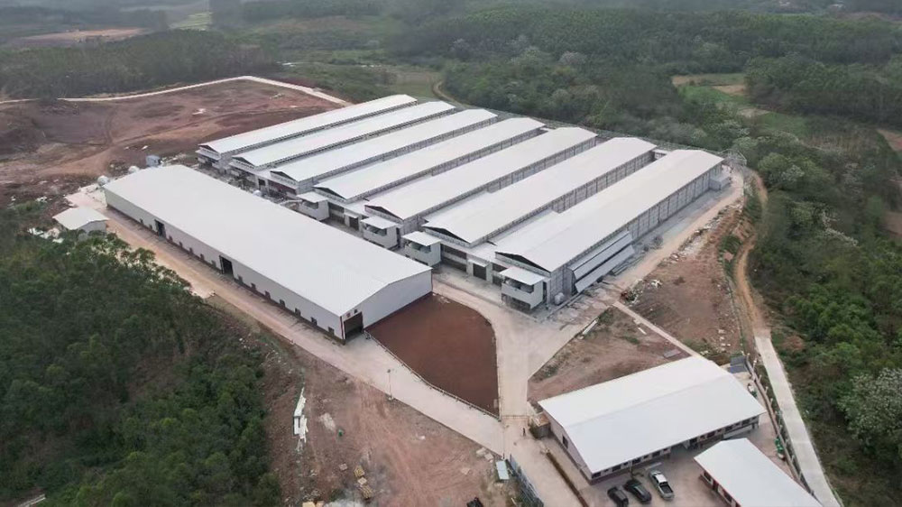 8c2415d7447dce64942218ca1ed60c88